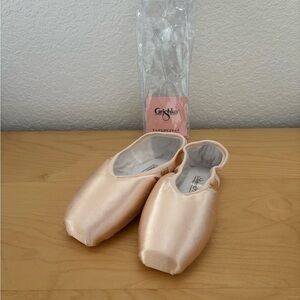 NWT Nikolay StreamPointe Shoes (6 - XX - Hard Shank)